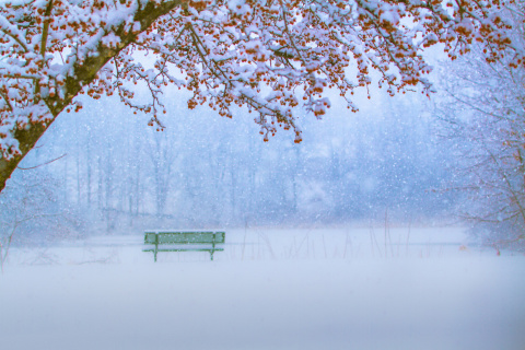 Park in Snow screenshot #1 480x320