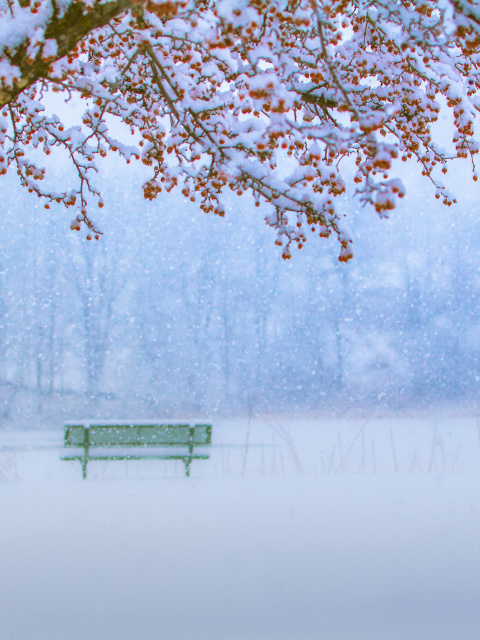 Fondo de pantalla Park in Snow 480x640