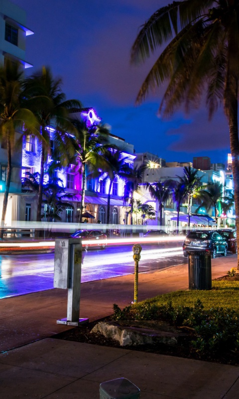 Sfondi Florida, Miami Evening 480x800