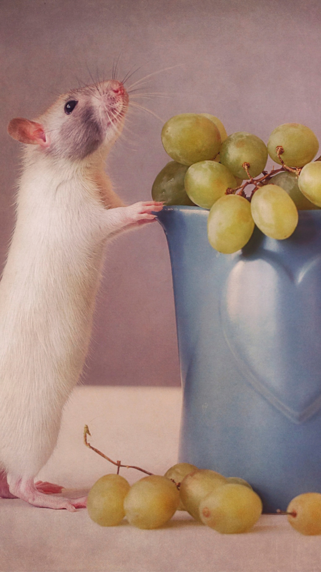 Обои Mouse Loves Grapes 1080x1920