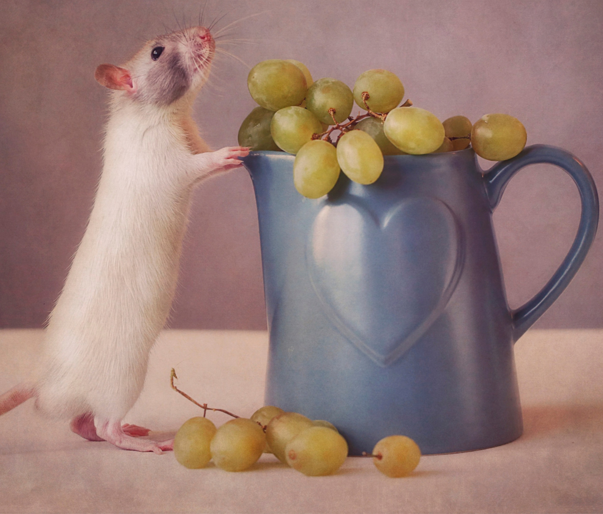 Mouse Loves Grapes wallpaper 1200x1024