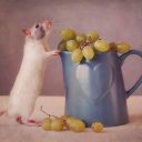 Das Mouse Loves Grapes Wallpaper 128x128