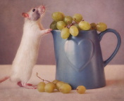Das Mouse Loves Grapes Wallpaper 176x144