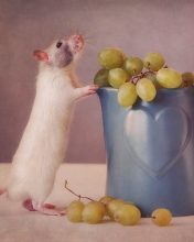 Das Mouse Loves Grapes Wallpaper 176x220