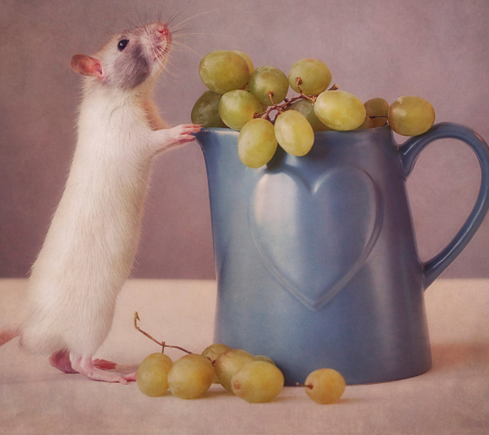 Mouse Loves Grapes wallpaper 960x854