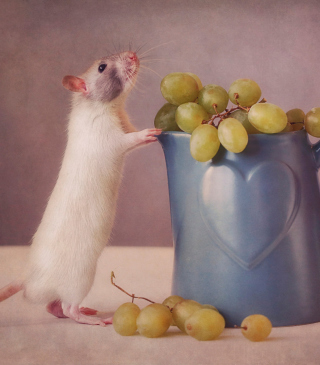 Kostenloses Mouse Loves Grapes Wallpaper für Philips W727