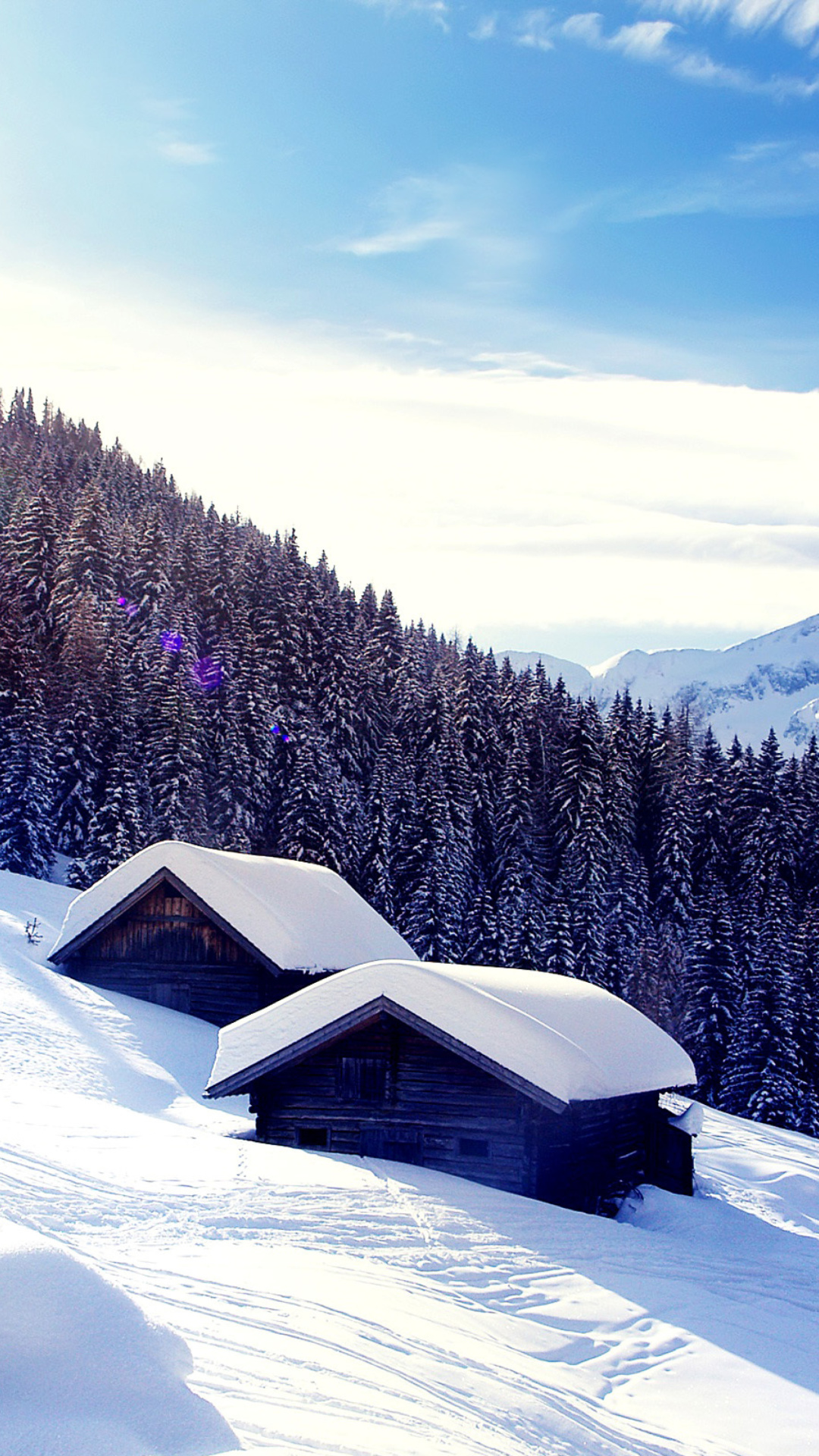 Обои Early frosts in Austrian Alps 1080x1920