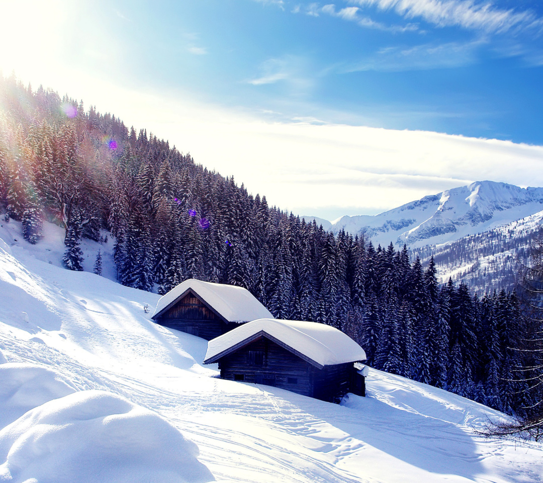 Fondo de pantalla Early frosts in Austrian Alps 1080x960