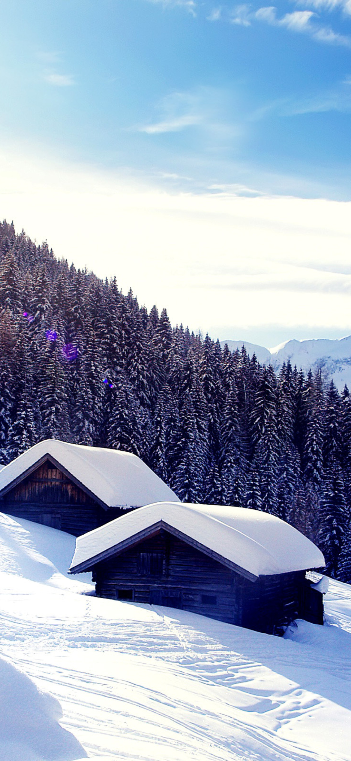 Early frosts in Austrian Alps wallpaper 1170x2532