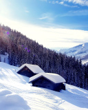 Fondo de pantalla Early frosts in Austrian Alps 128x160