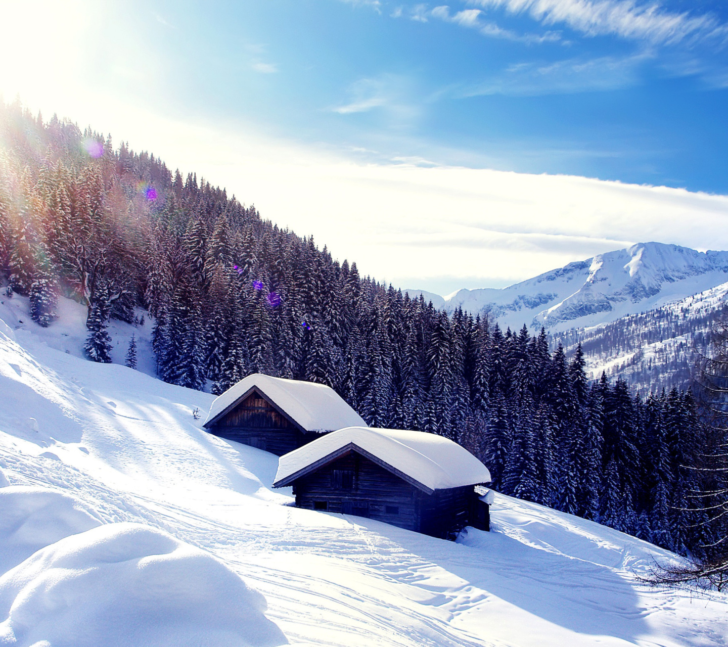 Das Early frosts in Austrian Alps Wallpaper 1440x1280