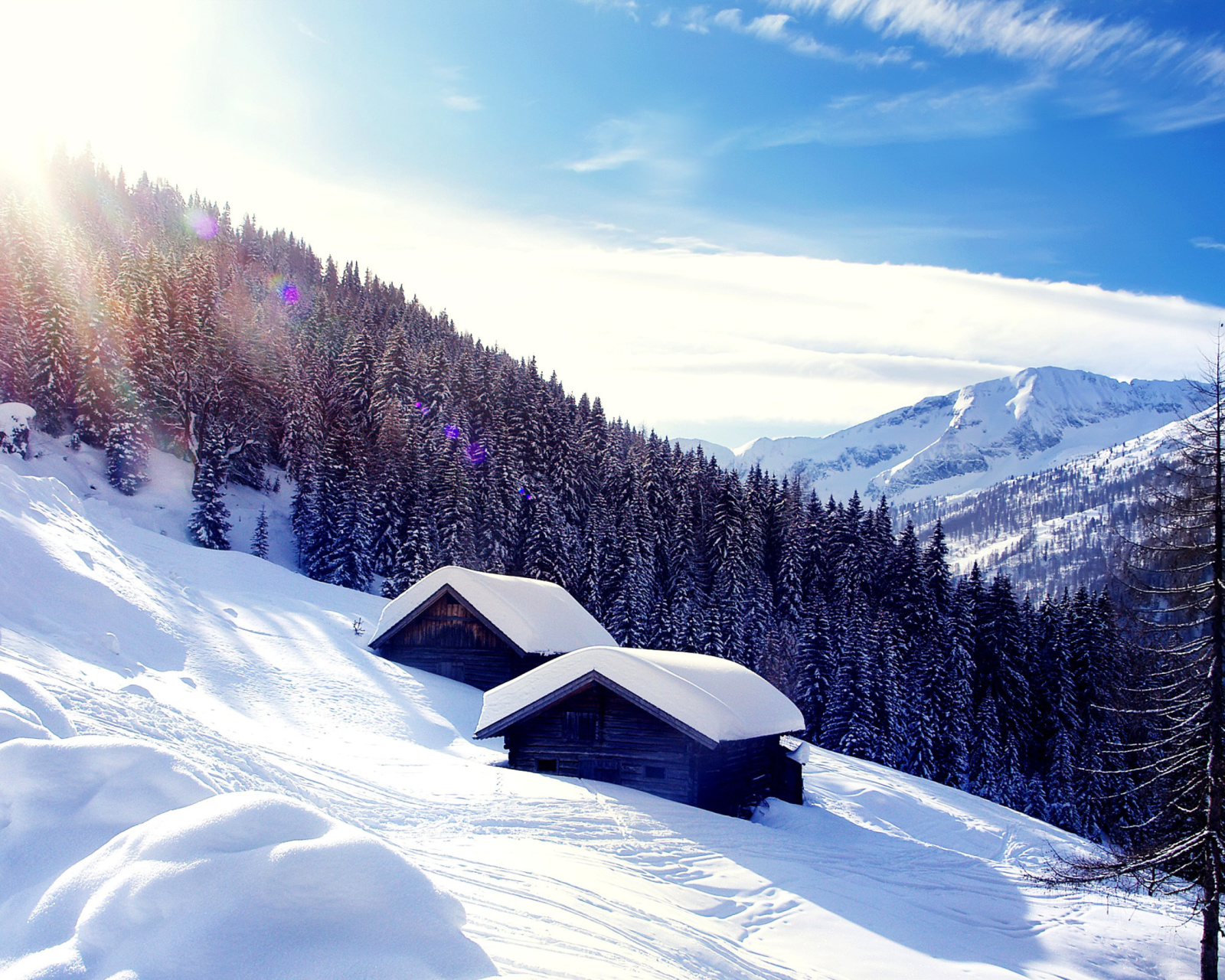 Обои Early frosts in Austrian Alps 1600x1280