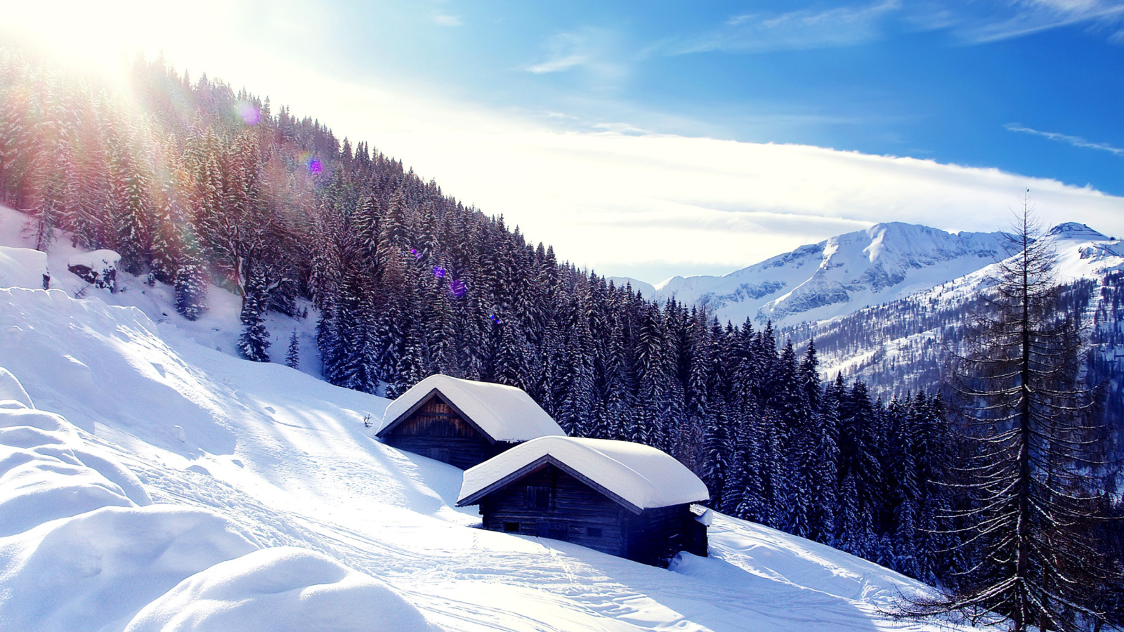 Fondo de pantalla Early frosts in Austrian Alps 1600x900