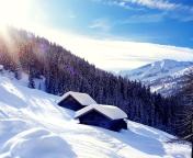 Early frosts in Austrian Alps screenshot #1 176x144