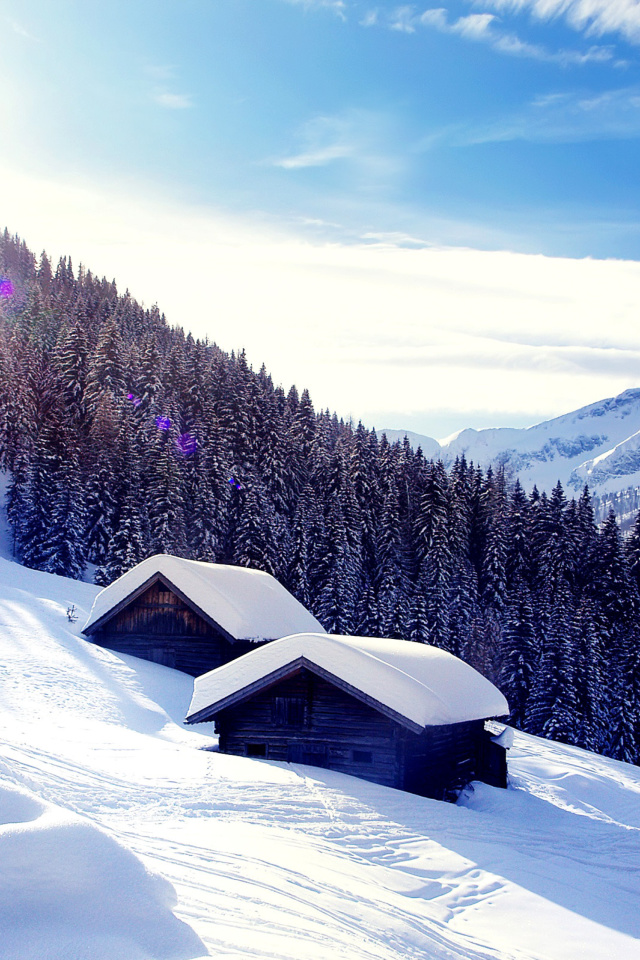 Early frosts in Austrian Alps wallpaper 640x960