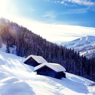 Early frosts in Austrian Alps sfondi gratuiti per iPad 3