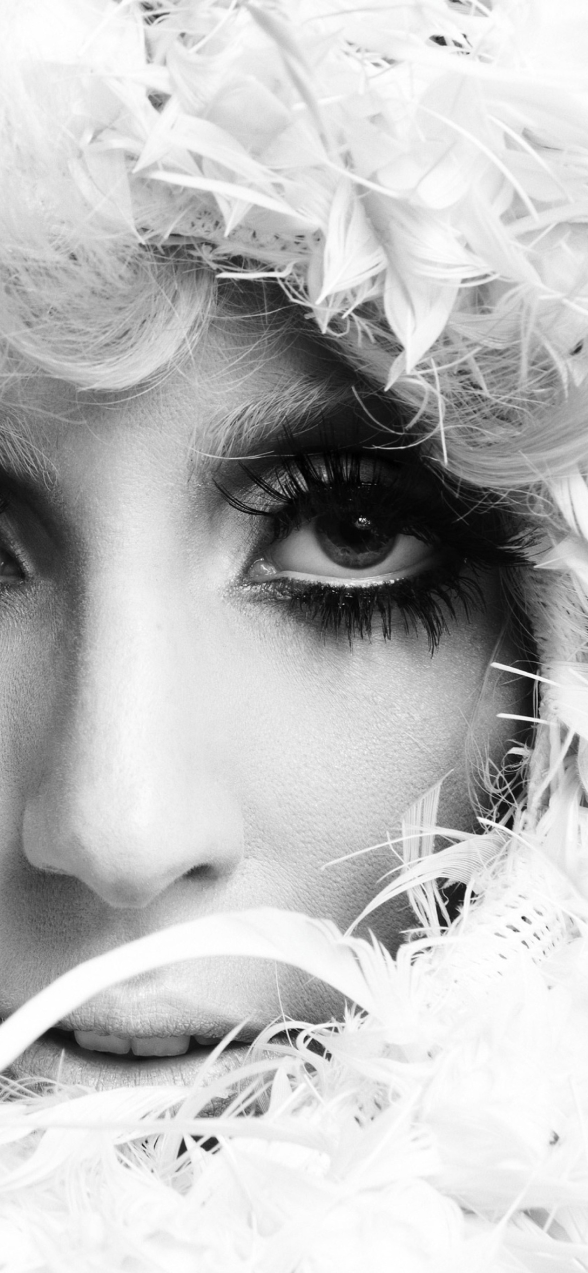Das Lady Gaga White Feathers Wallpaper 1170x2532