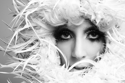 Das Lady Gaga White Feathers Wallpaper 480x320