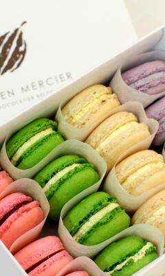 Das Colorful Macarons Wallpaper 240x400