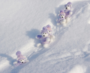 White Teddy Bears Snow Game wallpaper 176x144