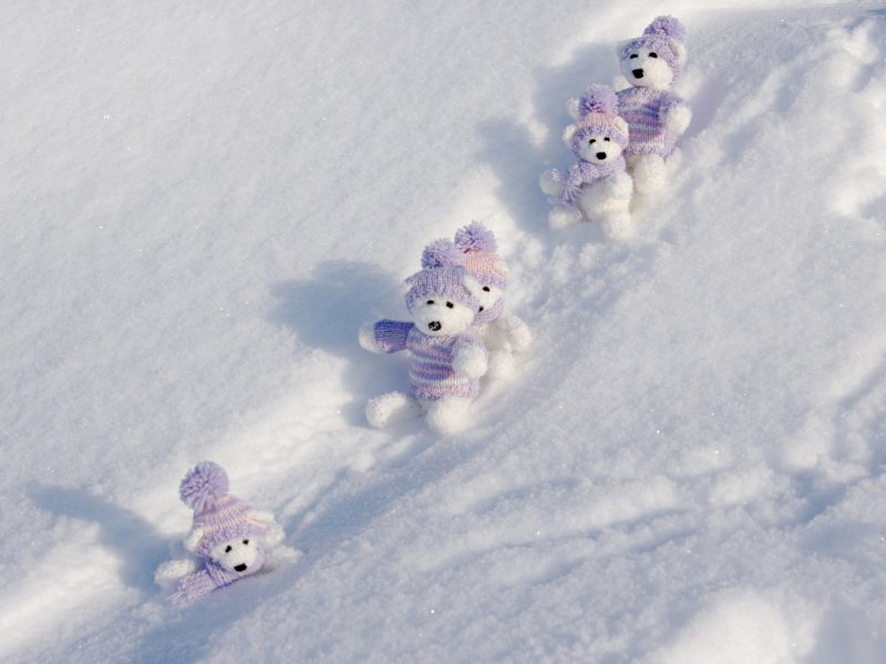 Sfondi White Teddy Bears Snow Game 800x600