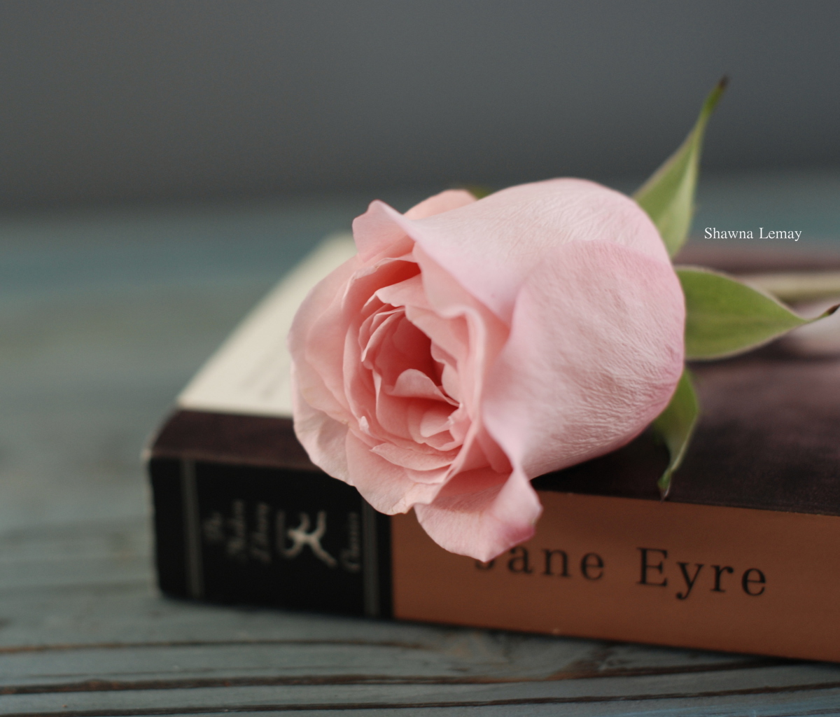 Book And Rose wallpaper 1200x1024