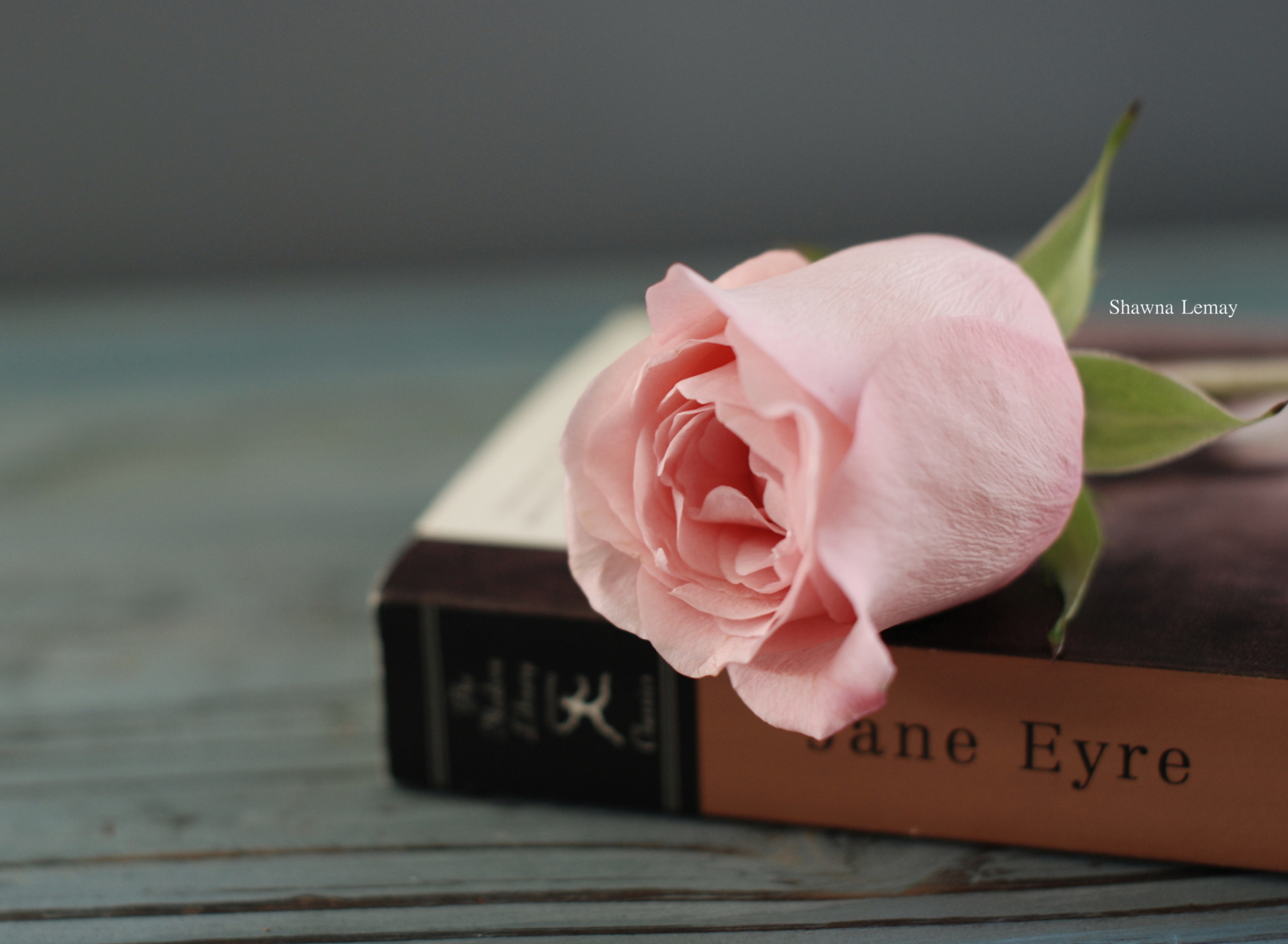 Book And Rose wallpaper 1920x1408