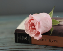 Book And Rose wallpaper 220x176