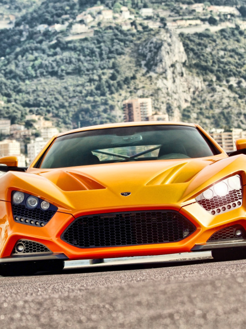 Zenvo ST1 screenshot #1 480x640