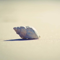 Lonely Seashell screenshot #1 208x208