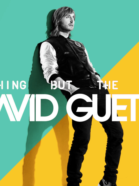 Обои David Guetta - Nothing but the Beat 480x640