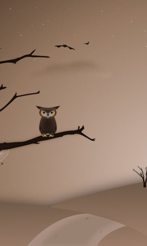 Fondo de pantalla Owl 480x800