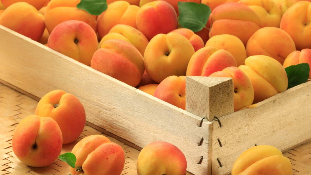 Apricots wallpaper 1280x720