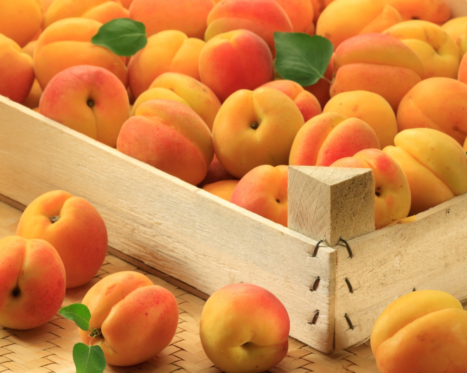 Das Apricots Wallpaper 1600x1280