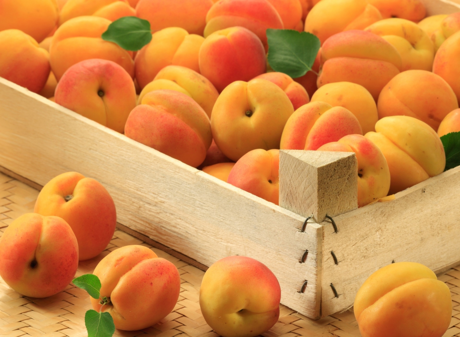 Apricots wallpaper 1920x1408