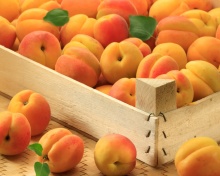 Apricots wallpaper 220x176