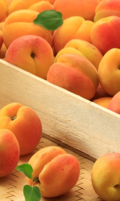 Apricots screenshot #1 240x400