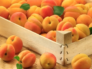 Apricots wallpaper 320x240