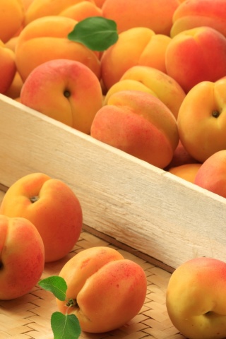 Apricots wallpaper 320x480