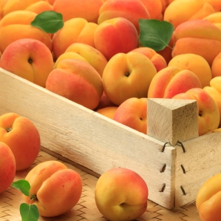 Apricots - Obrázkek zdarma pro iPad 3