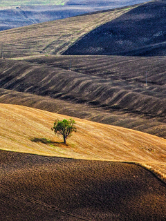 Das Italy, Tuscany Wallpaper 240x320