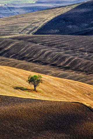 Fondo de pantalla Italy, Tuscany 320x480