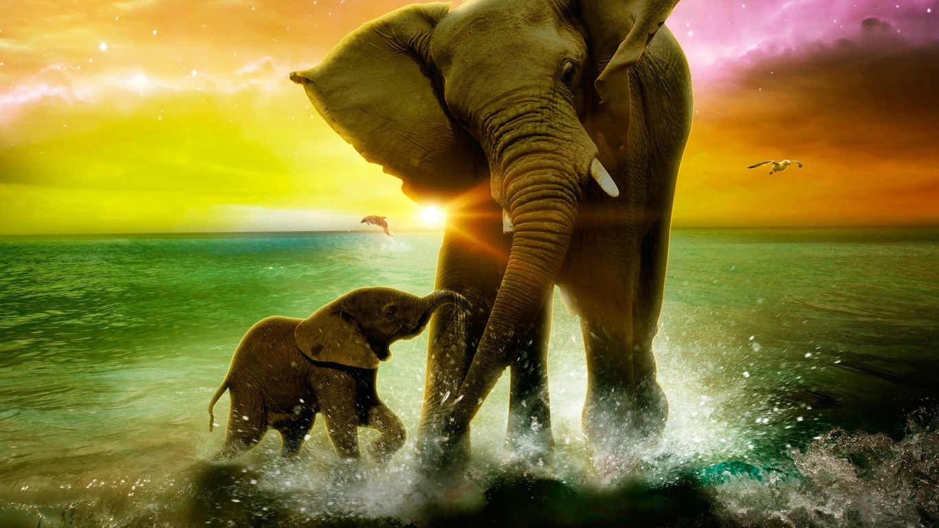 Fondo de pantalla Elephant Family 1366x768