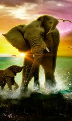 Screenshot №1 pro téma Elephant Family 240x400