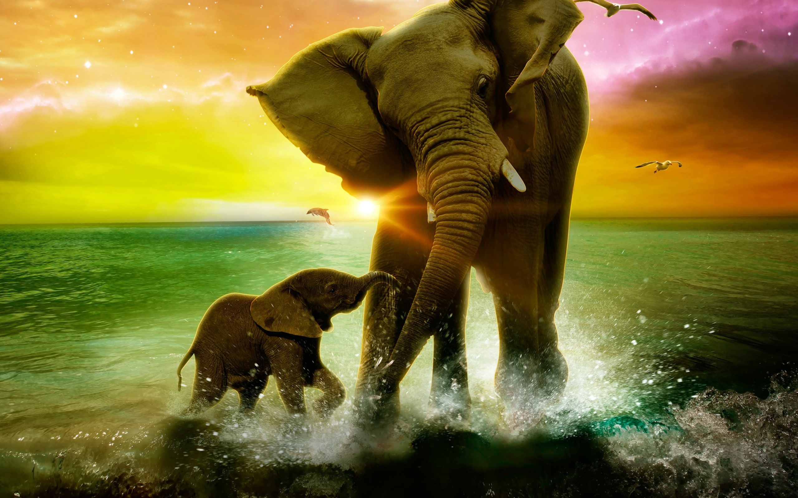 Elephant Family wallpaper 2560x1600