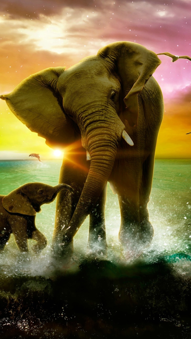 Fondo de pantalla Elephant Family 640x1136