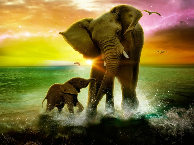 Обои Elephant Family 640x480