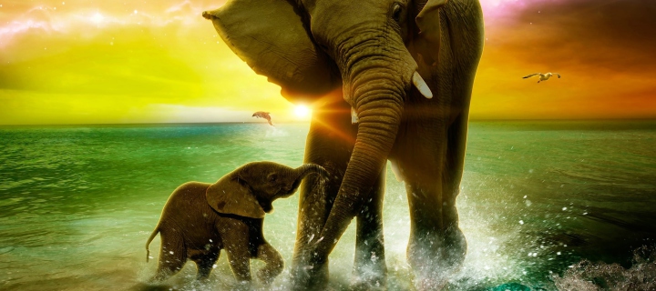 Sfondi Elephant Family 720x320