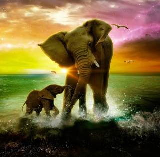 Elephant Family - Fondos de pantalla gratis para iPad 2