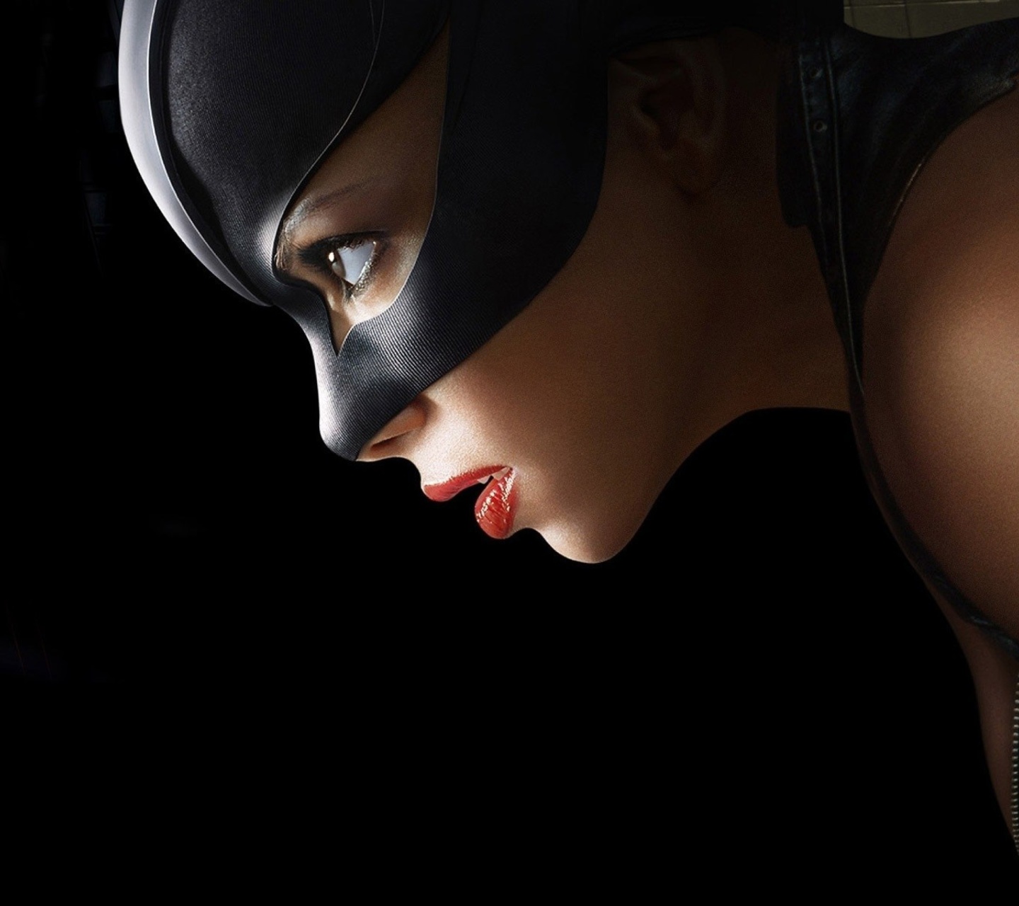 Fondo de pantalla Catwoman DC Comics 1440x1280